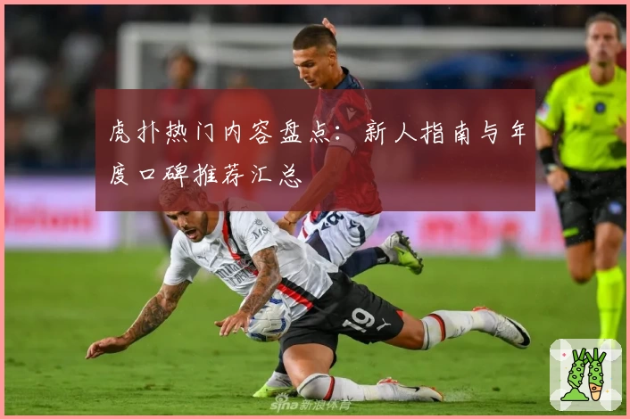 虎扑热门内容盘点：新人指南与年度口碑推荐汇总