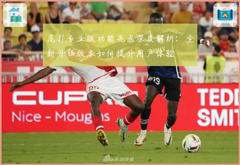 虎扑专业版功能亮点深度解析：全新升级版本如何提升用户体验