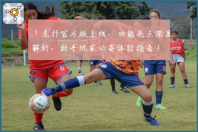 「虎扑官方版上线，功能亮点深度解析，新手玩家必备体验指南」