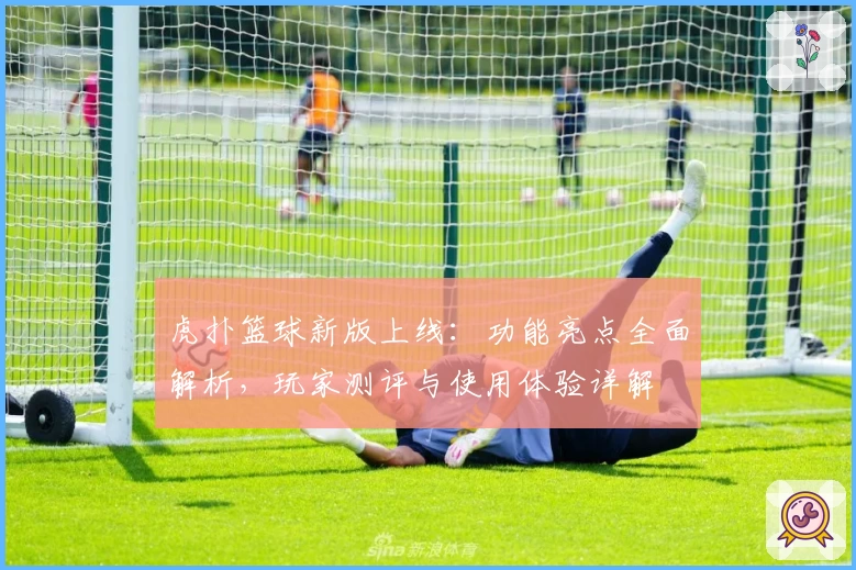 虎扑篮球新版上线：功能亮点全面解析，玩家测评与使用体验详解